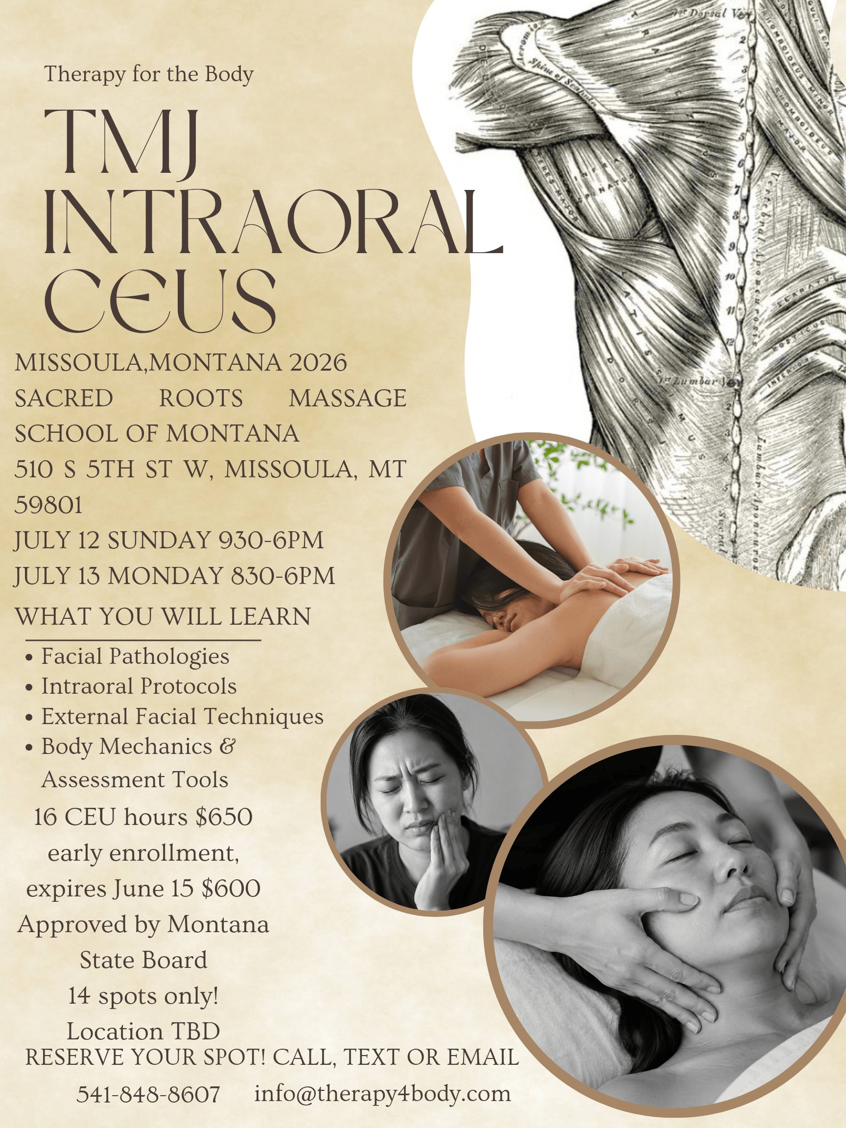 TMJ Massage Workshop July 2026